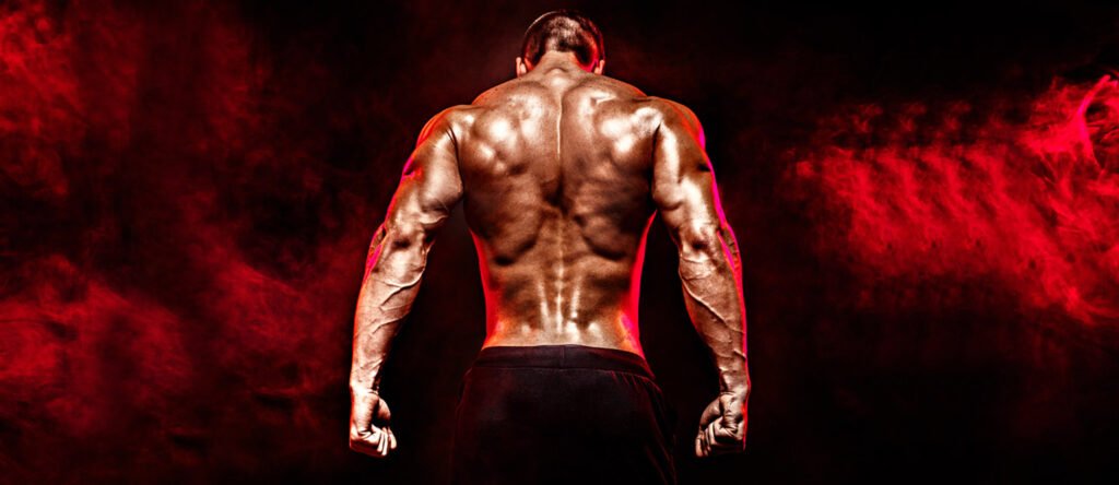 All about the Dubai Muscle Show 2021 Cover 05 09